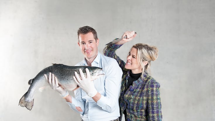 file6zs3kt8bl1z8wn0o2vz