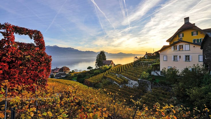 file77o8ludu2gj1n1j7agvg