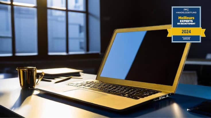 Statista, les meilleurs experts en recrutement dans le secteur des portails en ligne