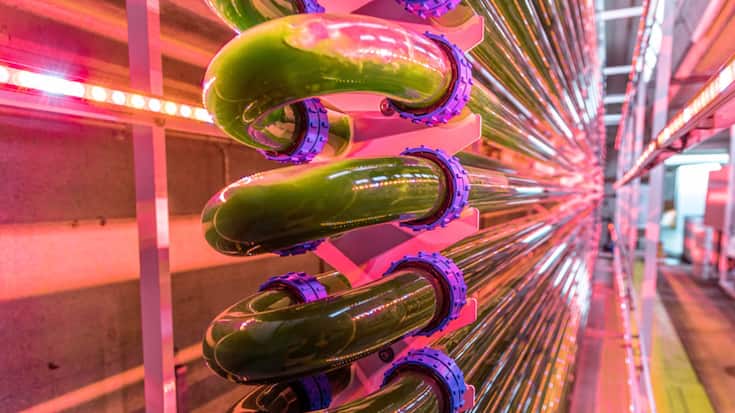 Agroscope de Posieux