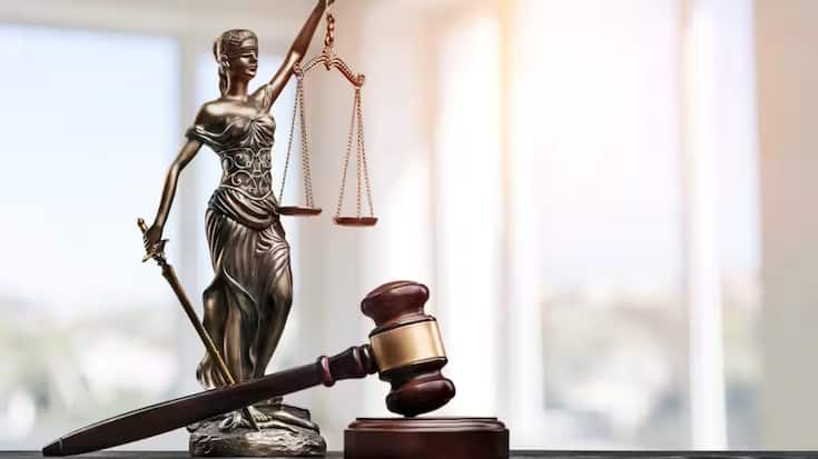 avocats 2026