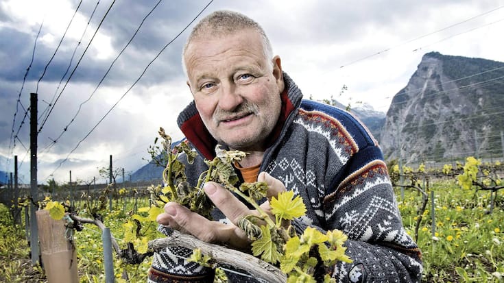 file7cgwop8ok7m1ie6ij1l9