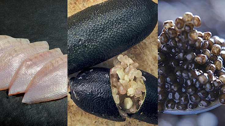 file7domhnvrx4k5hzmqbi7