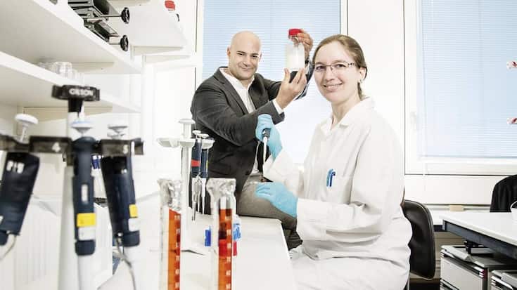 file7bzdedk6arn13rj8bc5n