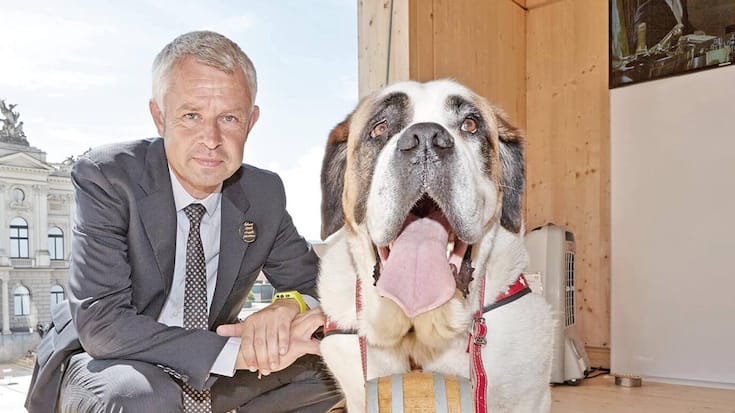 file7ap3gnll7nsmd7tkkmz