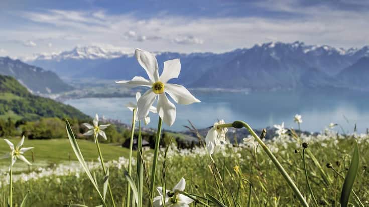 file7ammb9bylsn17lgxr9wi