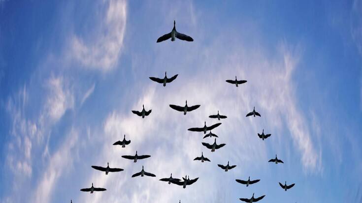 file7fiu45xb913okme17jz