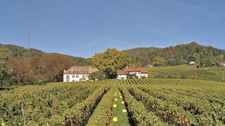 file7do39r0oamdw0lgo3t6