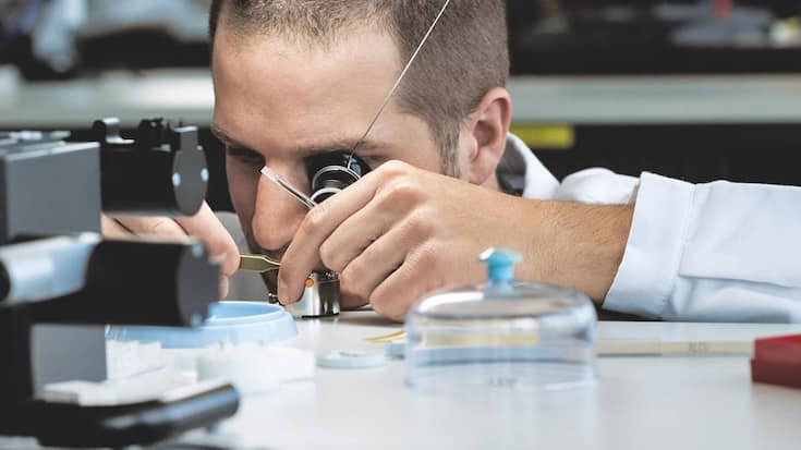 file7nte8shz2hjpo3ndk75