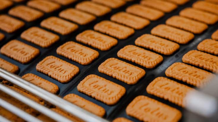 file85xuaumda3a1kykr2j25