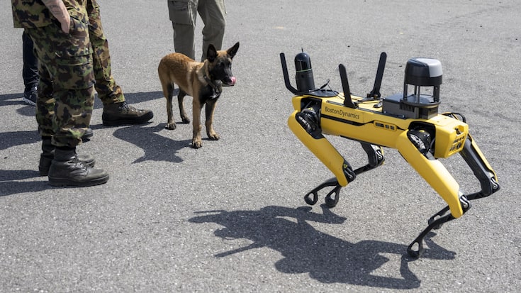 Un chien observe un robot de garde non armé, fabriqué par Boston Dynamics. En Suisse aussi, la robotique figure parmi les domaines de recherche prioritaires pour faire face aux menaces actuelles.