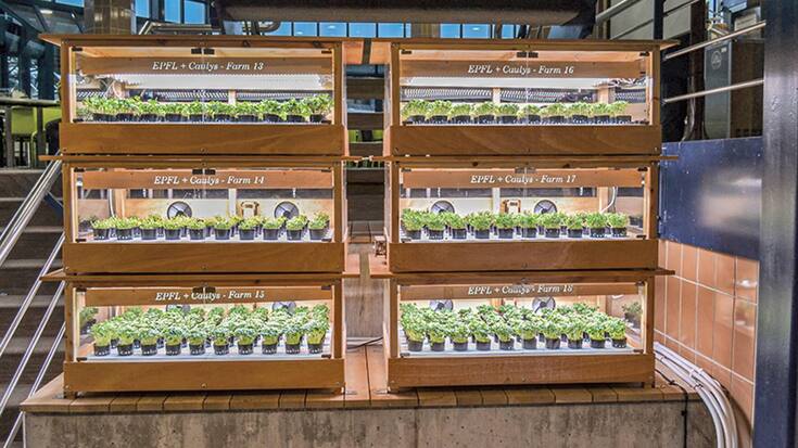 file7e84cogg84l1bptdqj1n