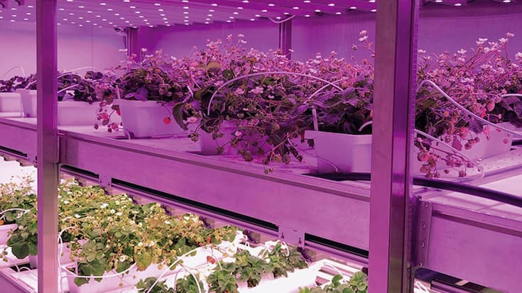 file7ap3xb663ch1e0sneopj