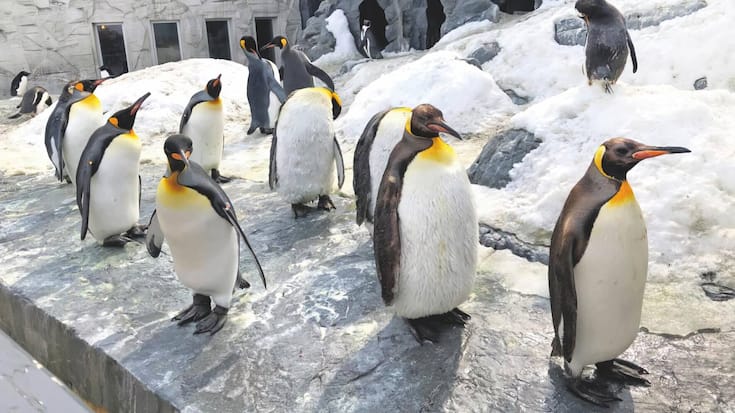 file7mxfedm87kpg6i6iln9