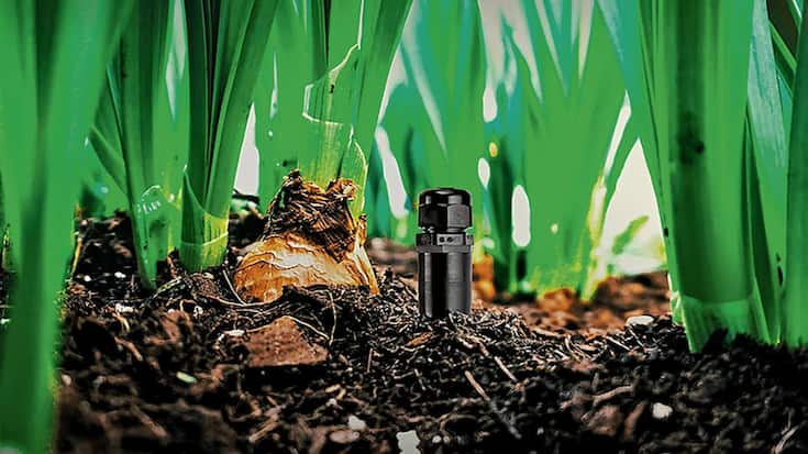 file7do442yq13p1m4ob828