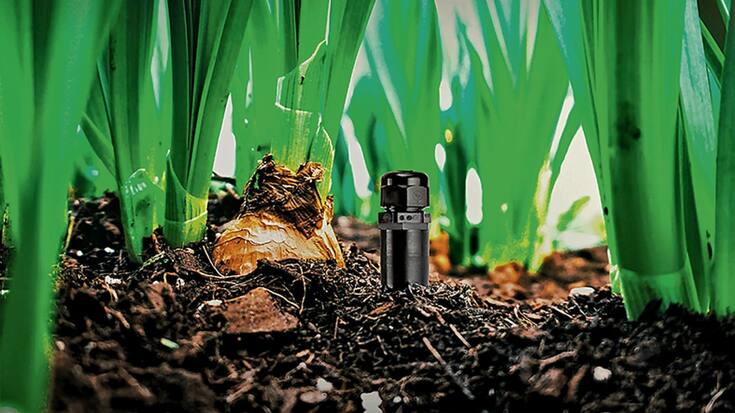 file7do442yq13p1m4ob828