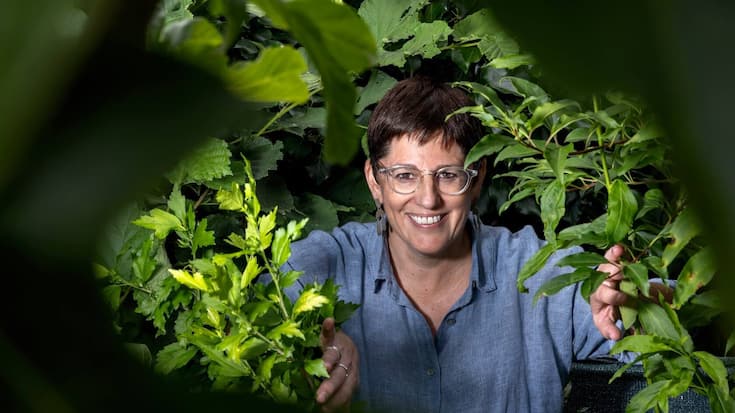  La start-up cofondée par Anne-Laure Héritier est aussi soutenue par la fondation The Ark