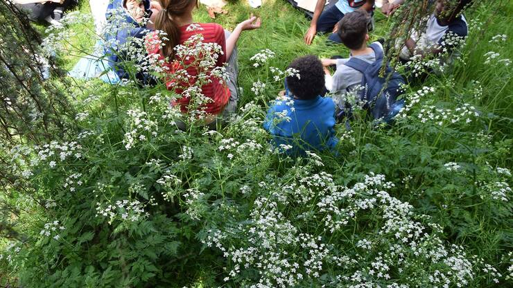 Renouer avec le monde vivant pour mieux le préserver