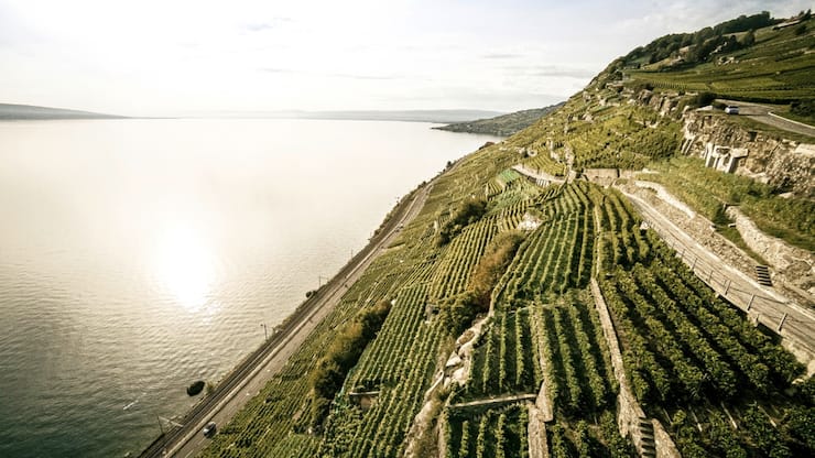 Association Lavaux Patrimoine