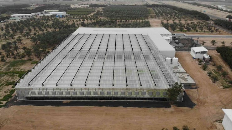 Clean Greens Solutions dépose le bilan