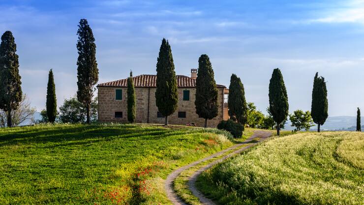 file6y7shpatf7n172wqqjh5