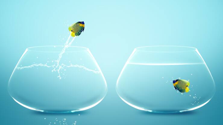 article_1_competences_transferables