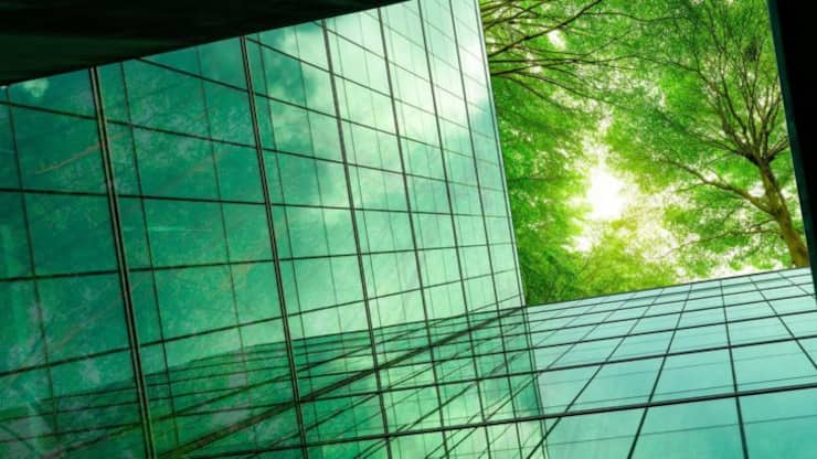 Eco-friendly building in the modern city. Green tree branches with leaves and sustainable glass building for reducing heat and carbon dioxide. Office building with green environment. Go green concept.