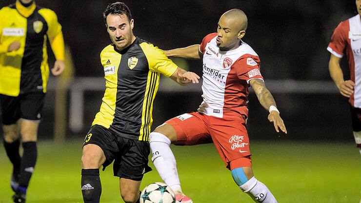 file6zs3g3mexcn10xiikaq8