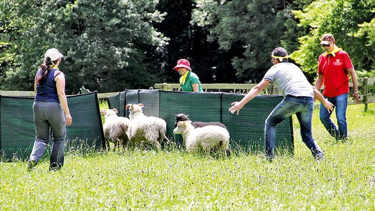 file74krw5y9ak3ljm9zfbi