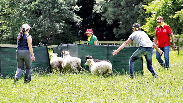 file74krw5y9ak3ljm9zfbi