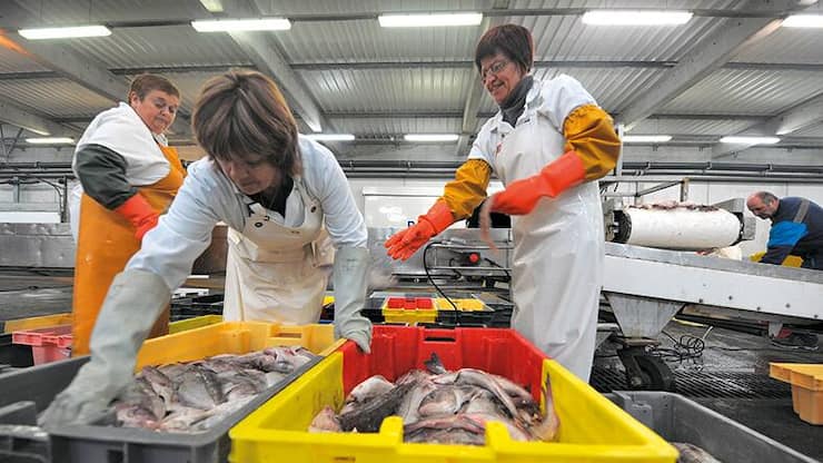 file77o8i3jtklhmotsm6lx