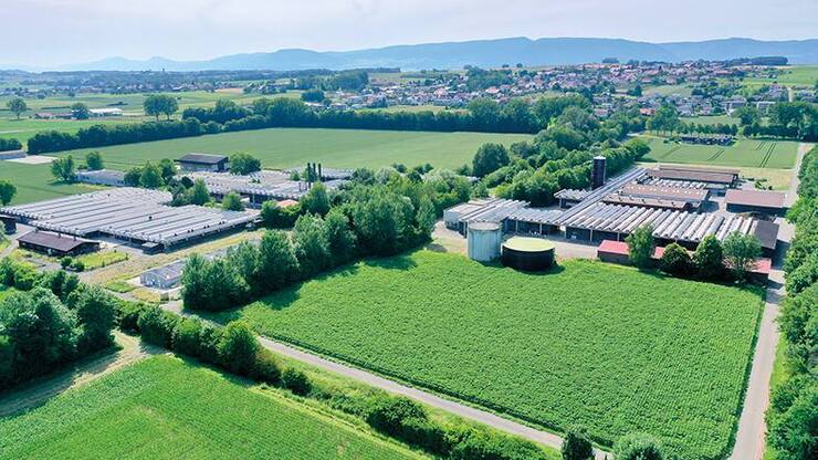 file79dcydos4plnyduah6s