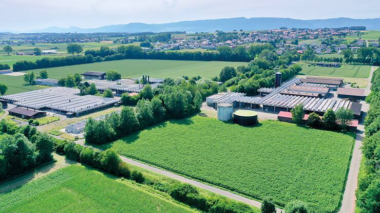 file79dcydos4plnyduah6s