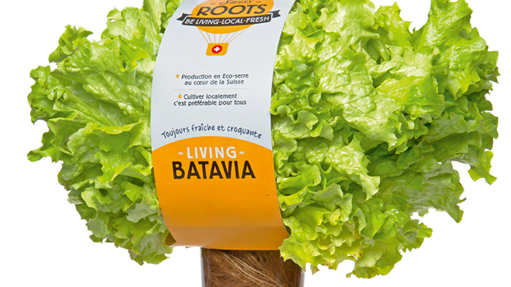 file709n2fpa6yeg09zje03