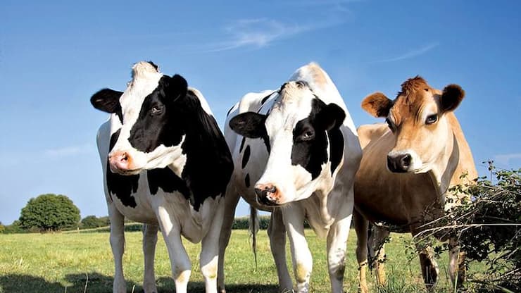 file71kuq6f43ucifkcjl6v