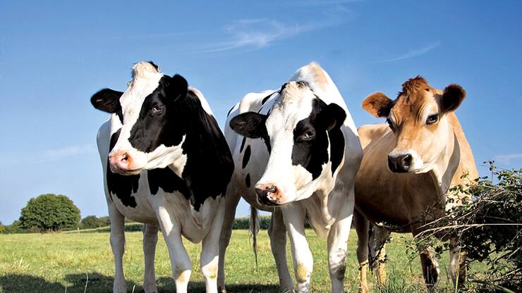 file71kuq6f43ucifkcjl6v