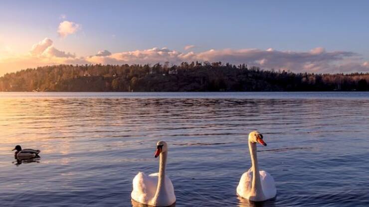 stockholm-4104028_960_720-1000x380-c-center