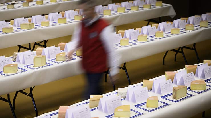 Présentés sur de longues tables installées à l'Espace Saint-Marc au Châble, 1064 fromages sont prêts à être dégustés.