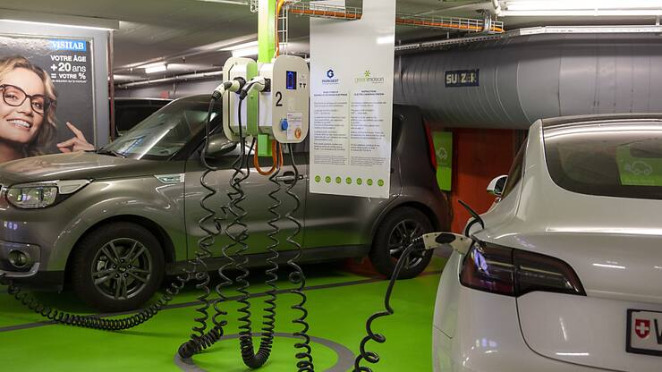La taxe sur l'importation des véhicules électriques introduite en début d'année a eu pour effet un recul de la demande. (archive)