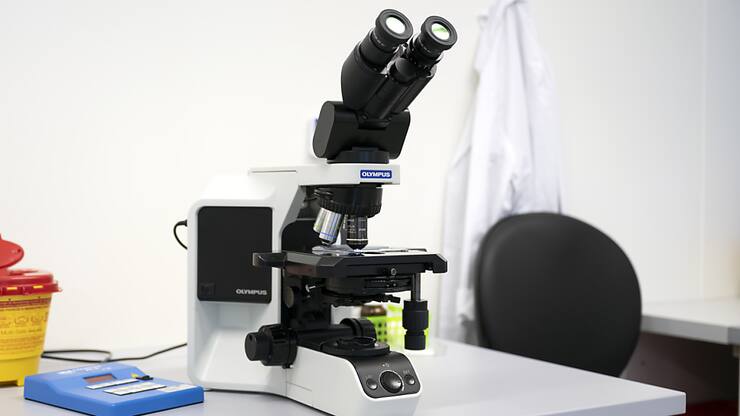 Ce conjugué anticorps-médicament s'apprête à franchir les dernières étapes de développement préclinique, selon Ipsen et Foreseen Biotechnology. (archive)