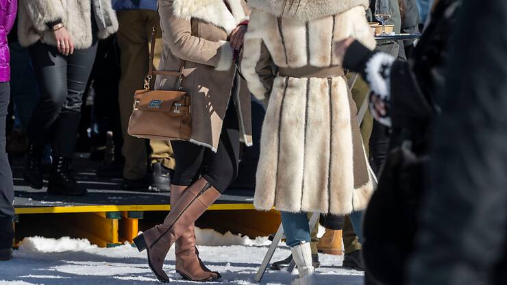 Les associations de consommateurs saluent l'interdiction d'importer des fourrures provenant d'animaux ayant subi de mauvais traitements proposée par le Conseil fédéral (archives).