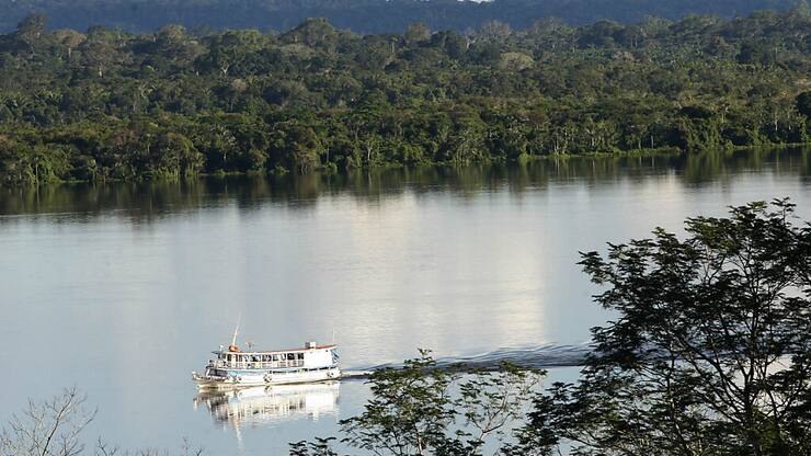 "Dépasser la limite de 1,5°C de manière permanente augmenterait substantiellement la probabilité de déclencher des points de bascule", selon l'étude, avec par exemple la disparition de la forêt primaire de l'Amazonie ou la fonte des calottes glaciaires du Groenland et de l'ouest de l'Antarctique.