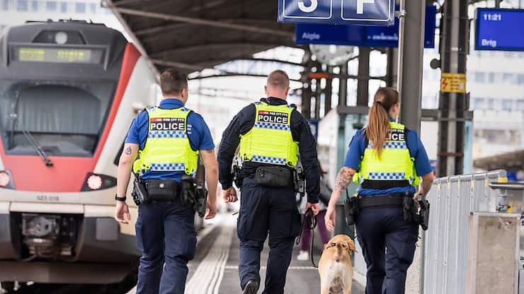 En tout 100 caméras corporelles vont être achetées (archives).