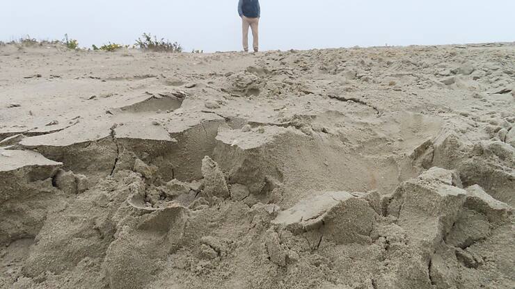 Deux garçons ont été grièvement blessés après avoir été ensevelis par une dune au Danemark. (image symbolique)