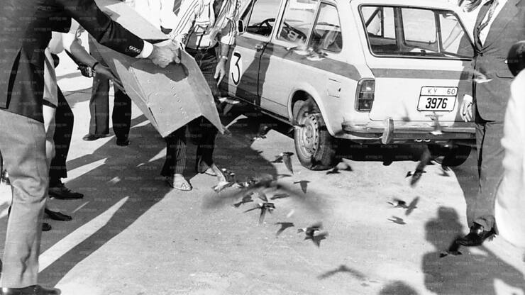 Une fois arrivés à destination, les migrateurs ont été relâchés (Archives).