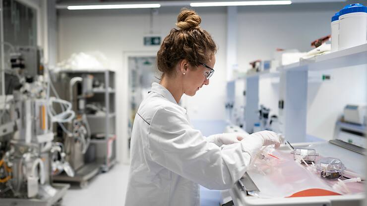 L'opération implique une extension des capacités du Biopark viégeois de Lonza, sur une surface de quelque 800 m2, ainsi que la création d'une centaine de postes de travail à l'horizon 2027 (archives).