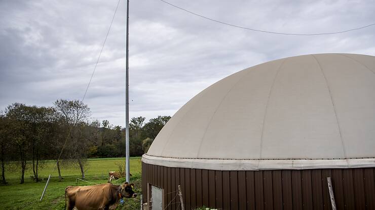 Une vache est visible à côté d'une installation de production de biogaz, une énergie renouvelable issue de la fermentation de matières organiques (archives).