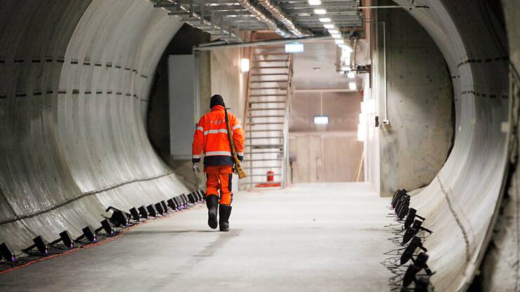 Parmi les graines déposées mardi figurent des échantillons de 21 espèces d'origine palestinienne (légumes, millet, herbes) fournies par l'ONG locale Union des comités de travail agricole (UAWC).