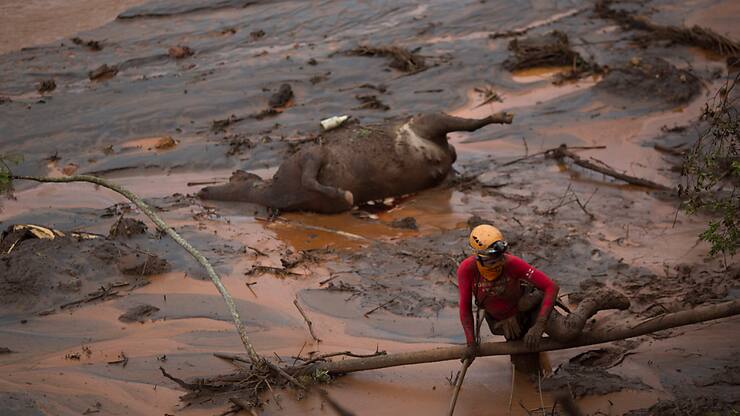 Le 5 novembre 2015, la rupture d'un barrage minier au Brésil avait engendré le déversement de dizaines de millions de mètres cube de boues toxiques dans la nature (archives).