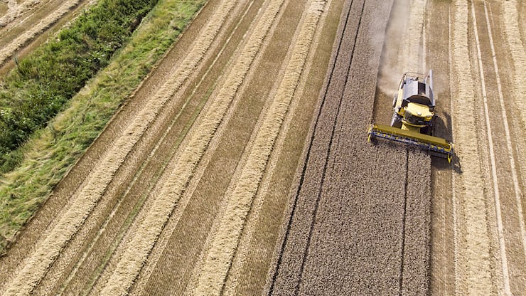 Les moissons de céréales ont été mauvaises cette année en raison des fréquentes pluies (archives).